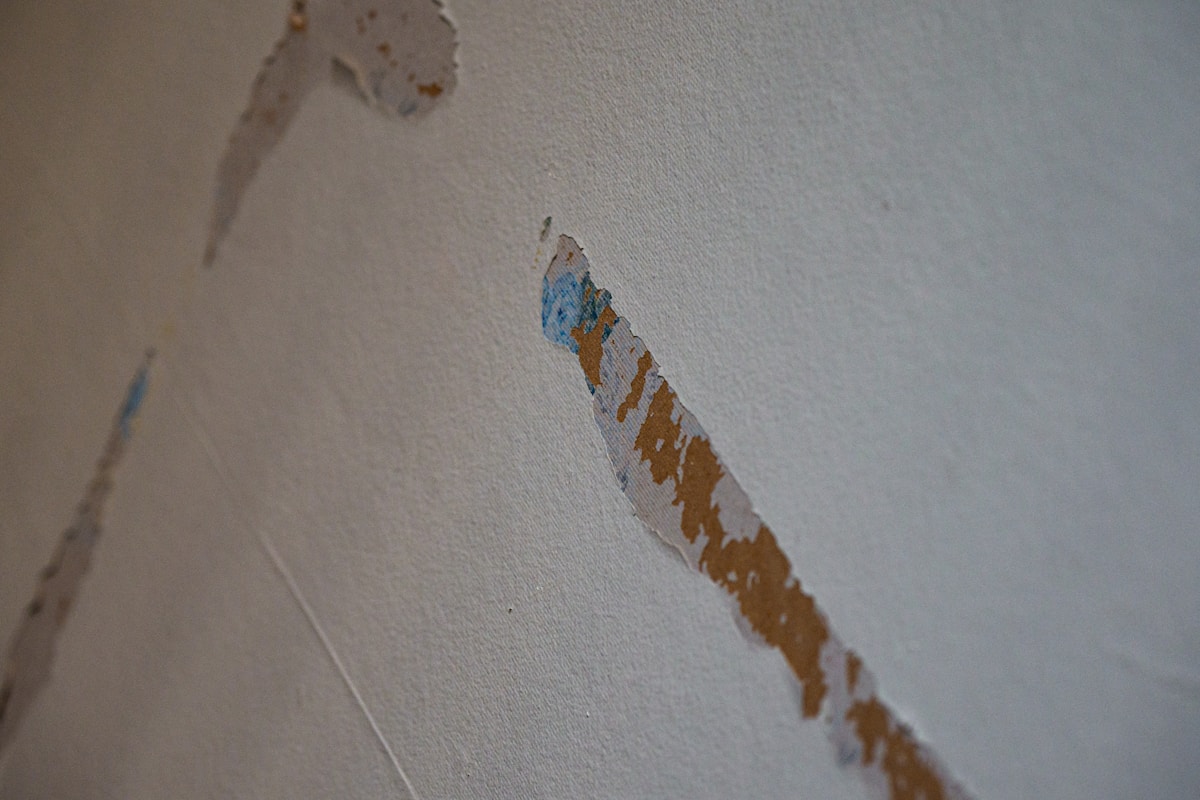 Mold Remediation service in Vancouver, WA